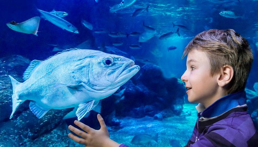 SEA LIFE Berlin - Eintrittskarte - Foto 2
