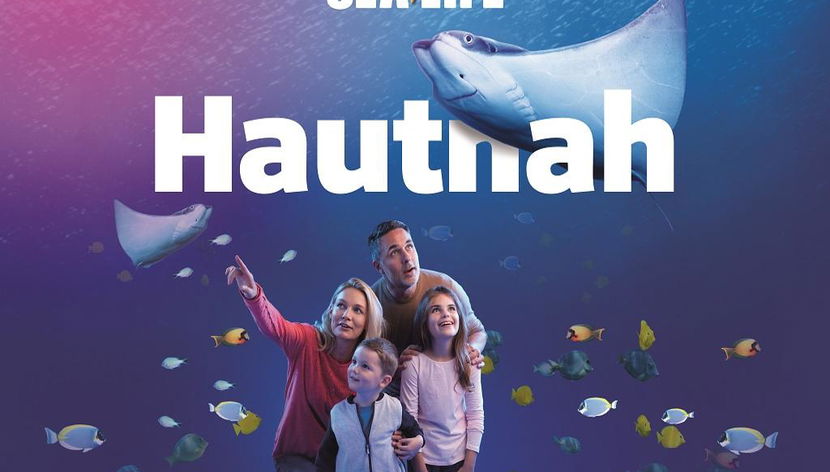 SEA LIFE Berlin - Eintrittskarte - Foto 3