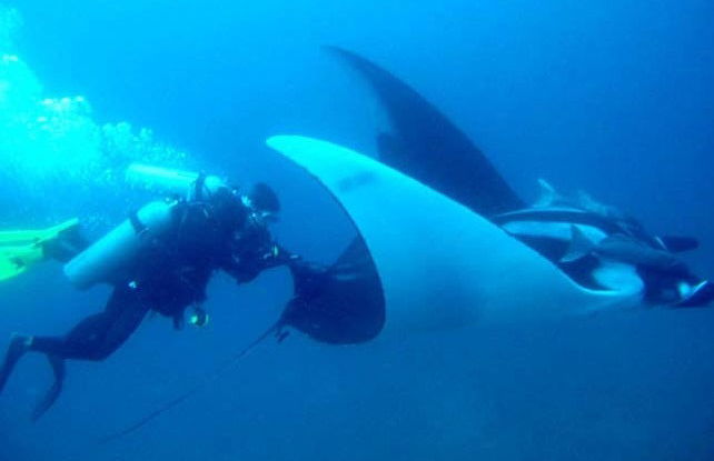 Cours de plongée PADI Open Water - Photo 5