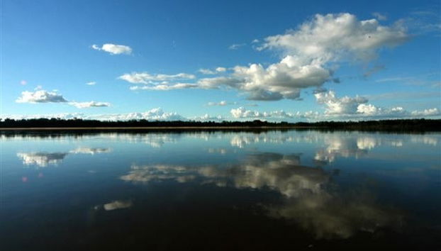 Paseo en barco al atardecer por Boa Vista - Foto 5