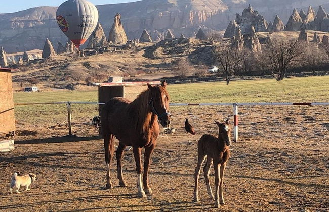 Balade à cheval en Cappadoce - Photo 4