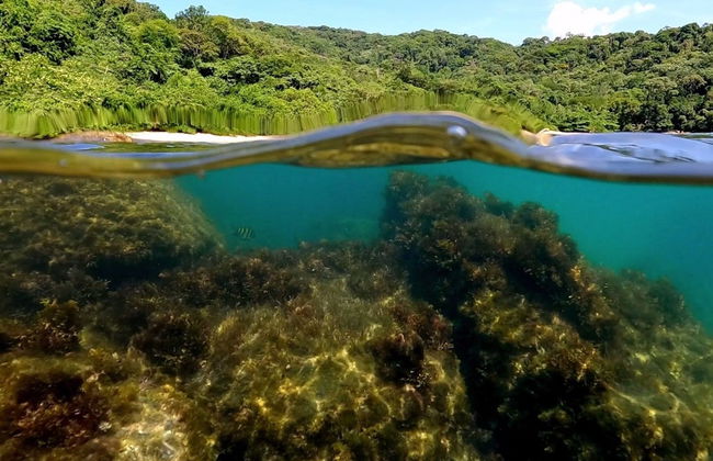 Paseo en barco por las playas del sur de Ubatuba - Foto 6