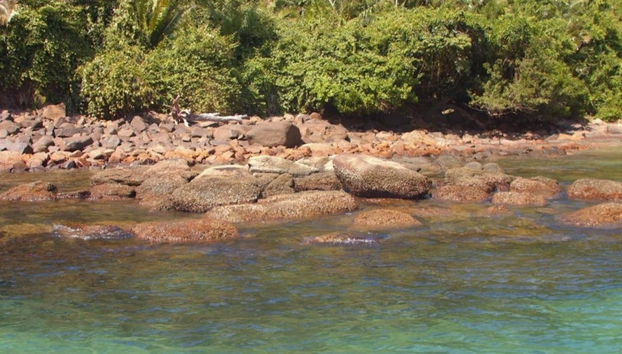 Paseo en barco por las playas del sur de Ubatuba - Foto 3