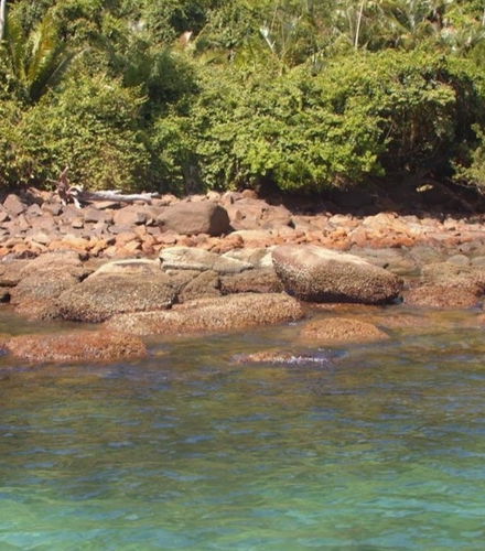 Foto de Paseo en barco por las playas del sur de Ubatuba