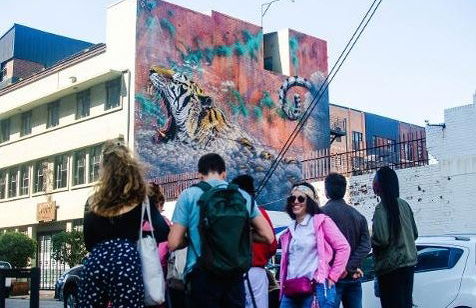 Tour del arte urbano por Johannesburgo - Foto 6