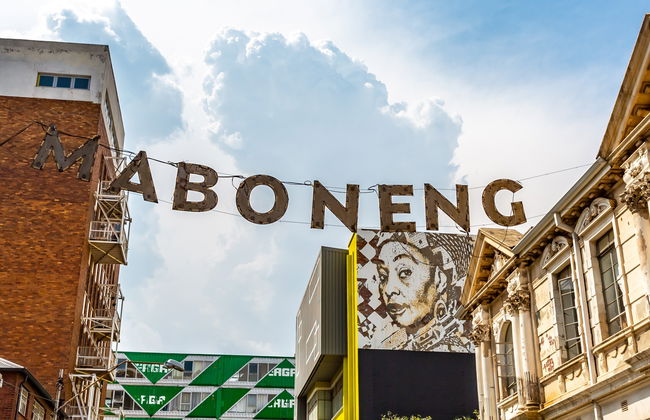 Tour del arte urbano por Johannesburgo - Foto 7