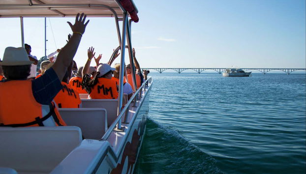 Cayo Levantado Day Trip - Photo 4