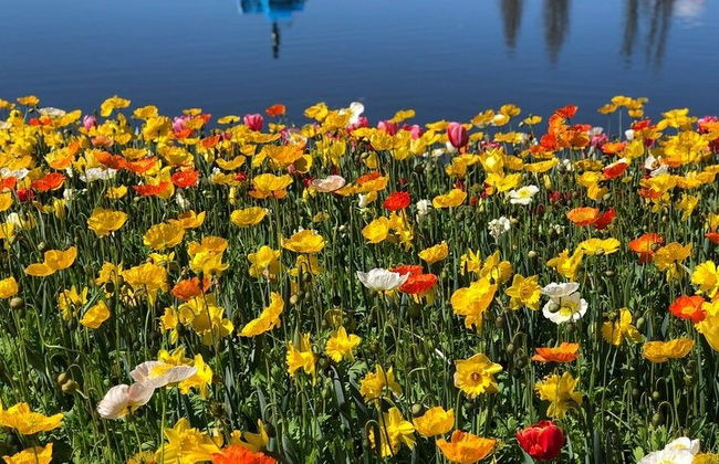 Canberra Floriade Tour - Photo 5