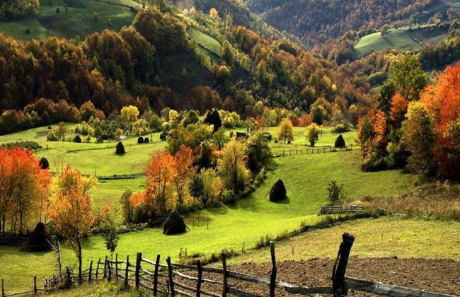 Descubre Zlatibor, Sirogojno y la Cueva de Stopića – Excursión privada de día completo - Foto 5