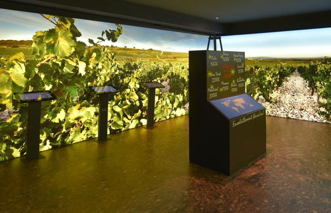 Maison Brotte Wine Museum Tickets - Photo 5