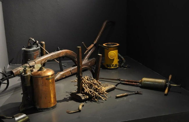 Maison Brotte Wine Museum Tickets - Photo 6