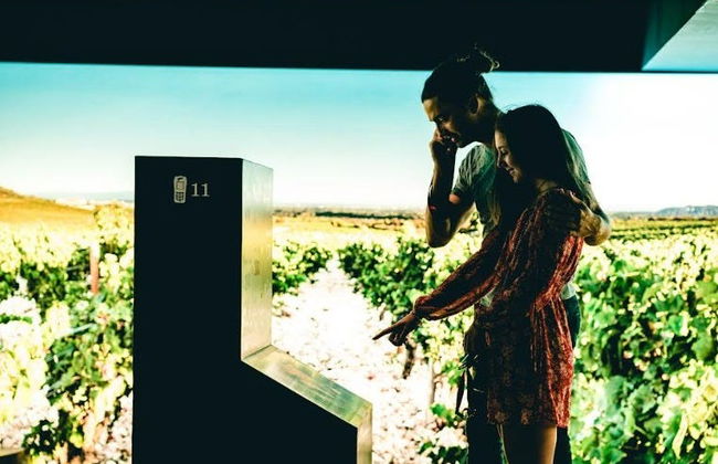 Maison Brotte Wine Museum Tickets - Photo 4