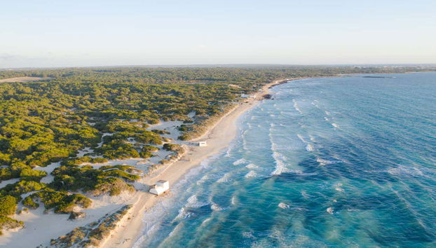Excursión a la playa de Es Trenc en barco - Foto 4