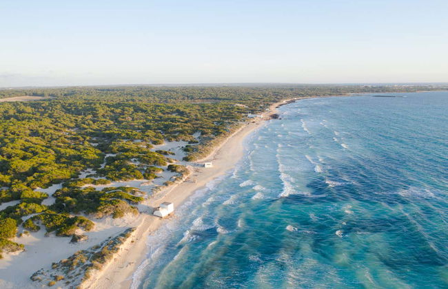 Excursión a la playa de Es Trenc en barco - Foto 4