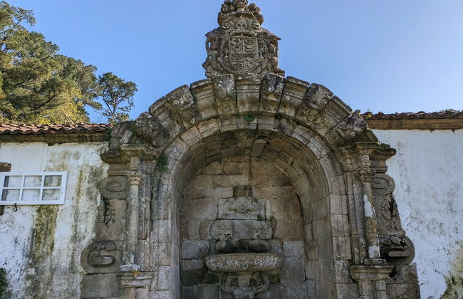 Tour por la Ciudad de la Cultura, Pazo de Rivadulla y Colegiata del Sar - Foto 5