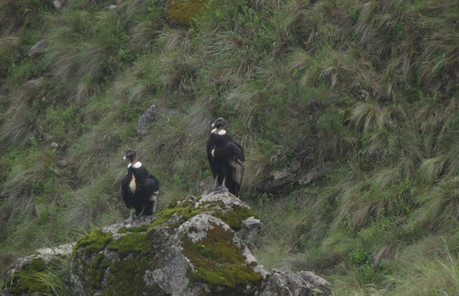 Trekking por el Pucará de Aconquija - Foto 6