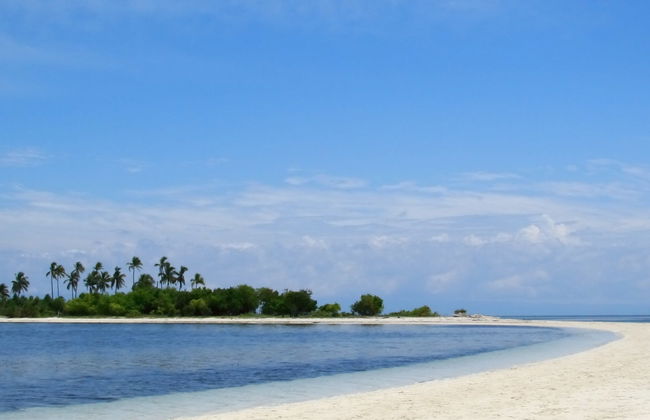 Excursão à Virgin Island - Foto 8