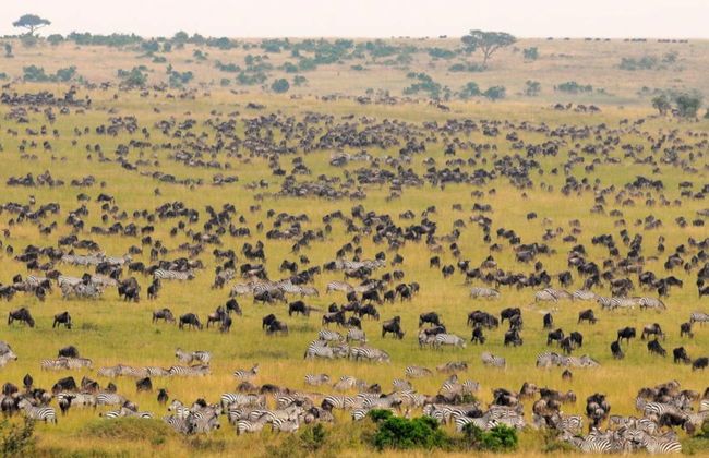 Vol en montgolfière à Masai Mara - Photo 2