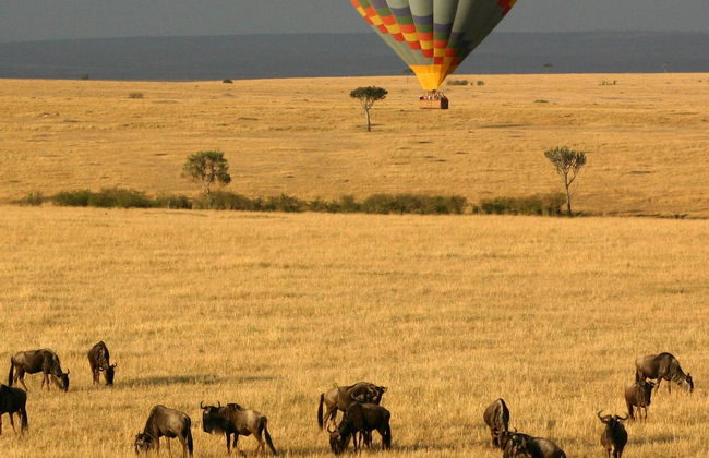 Vol en montgolfière à Masai Mara - Photo 8