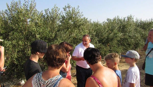 Visita a la finca Oleo Almanzora con degustación de aceite - Foto 5