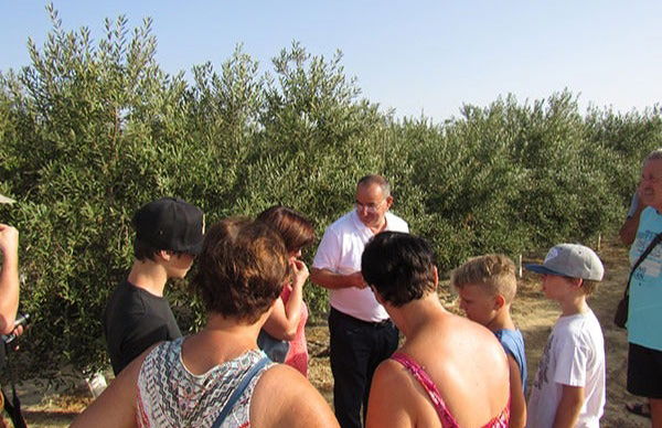 Visita a la finca Oleo Almanzora con degustación de aceite - Foto 5