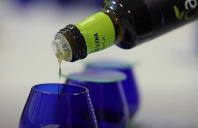 Visita a la finca Oleo Almanzora con degustación de aceite - Foto 6