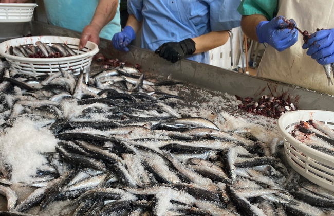 Visite d'une usine d'anchois avec dégustation - Photo 3