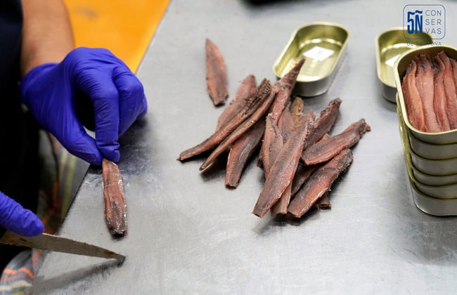 Visite d'une usine d'anchois avec dégustation - Photo 6
