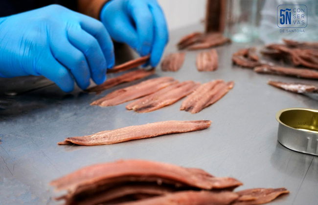 Visite d'une usine d'anchois avec dégustation - Photo 5