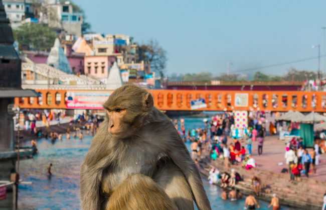 Excursión privada a Haridwar - Foto 8