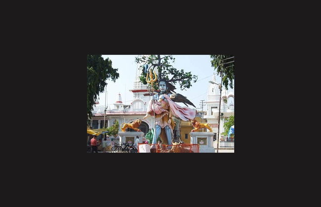 Excursión privada a Haridwar - Foto 5