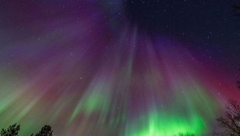 Chasing the Northern Lights - Small Group Tour - Photo 1