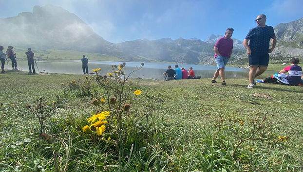 Visite privée d'Oviedo à Covadonga, lacs et villages de marins - Photo 4
