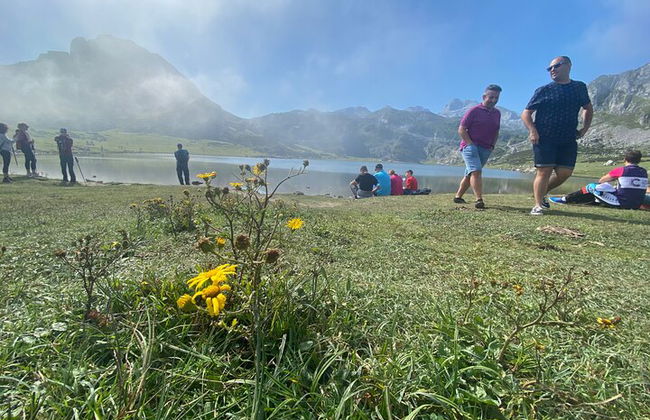 Visite privée d'Oviedo à Covadonga, lacs et villages de marins - Photo 4