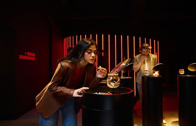 Visita guidata a Casa Martini con degustazione finale - Foto 4
