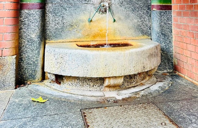 Banhos Romanos de Wiesbaden e Spa Kaiser: Um passeio autoguiado - Foto 3