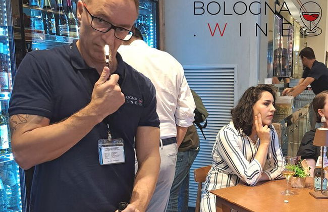 Tour e degustação de vinhos das colinas bolonhesas - Foto 2