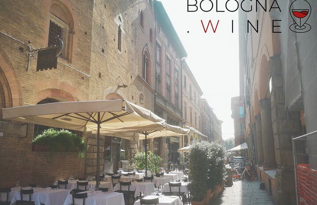 Tour e degustação de vinhos das colinas bolonhesas - Foto 5