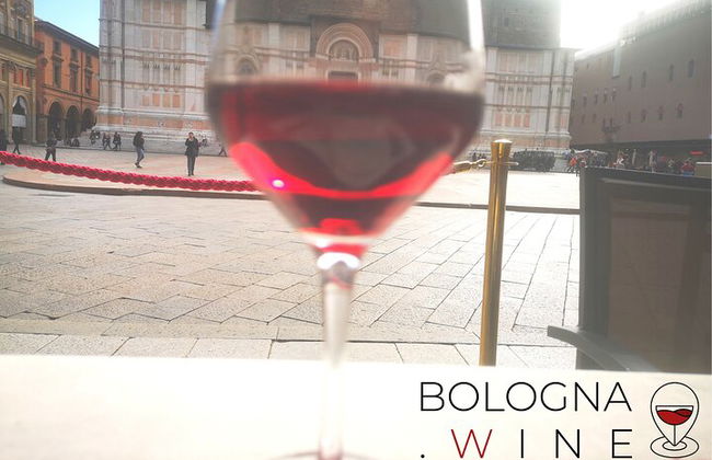 Tour e degustação de vinhos das colinas bolonhesas - Foto 6
