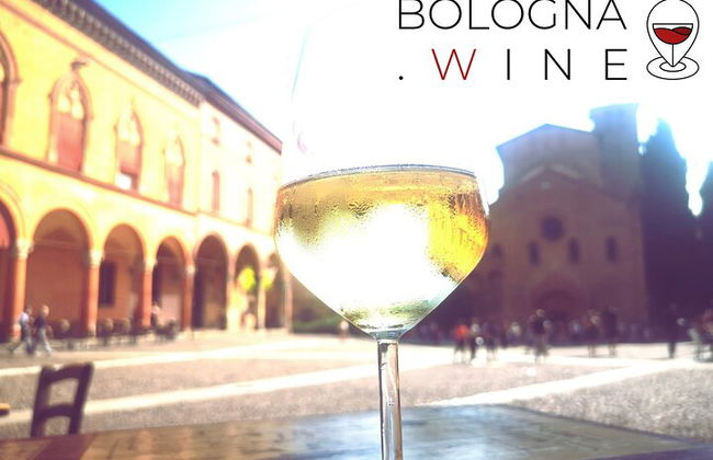 Tour e degustação de vinhos das colinas bolonhesas - Foto 1