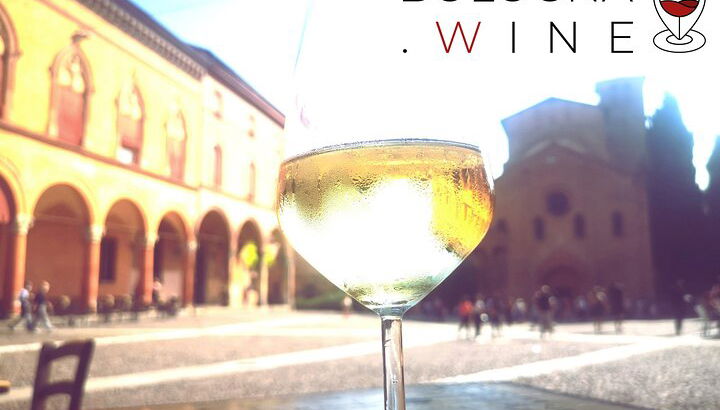 Tour y cata de vinos de las colinas boloñesas - Foto 1