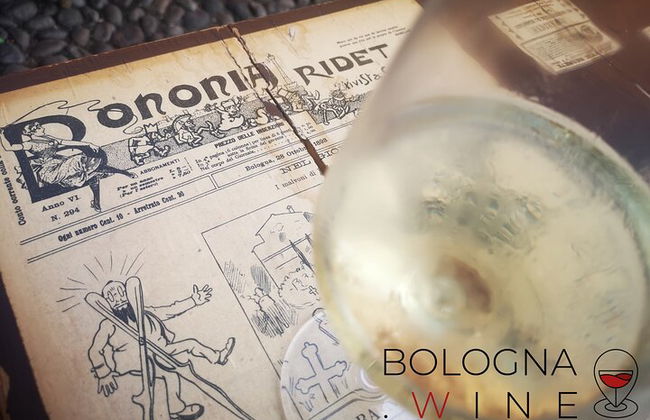 Tour e degustação de vinhos das colinas bolonhesas - Foto 4