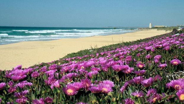 Le migliori spiagge spagnole da Siviglia - Foto 5