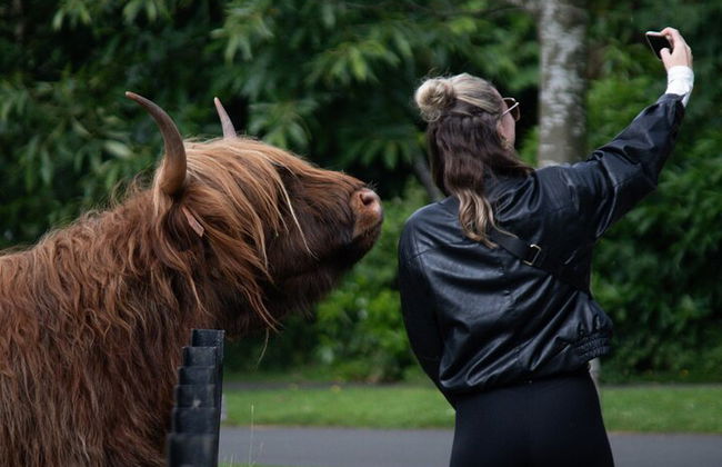 Excursión privada a Glencoe y Castillos desde Glasgow - Foto 14