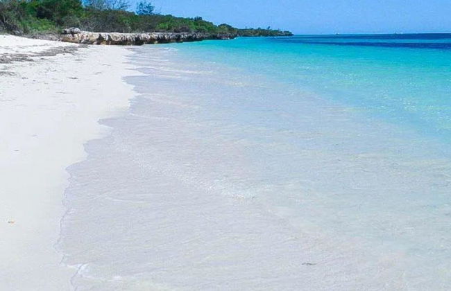 Isla Mbudya - Excursión de día completo - Foto 1