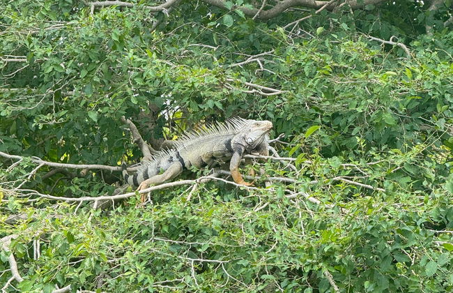 Magdalena River Cruise - Photo 6