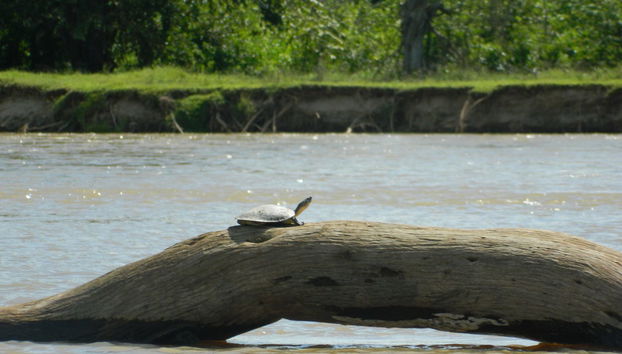 Magdalena River Cruise - Photo 2