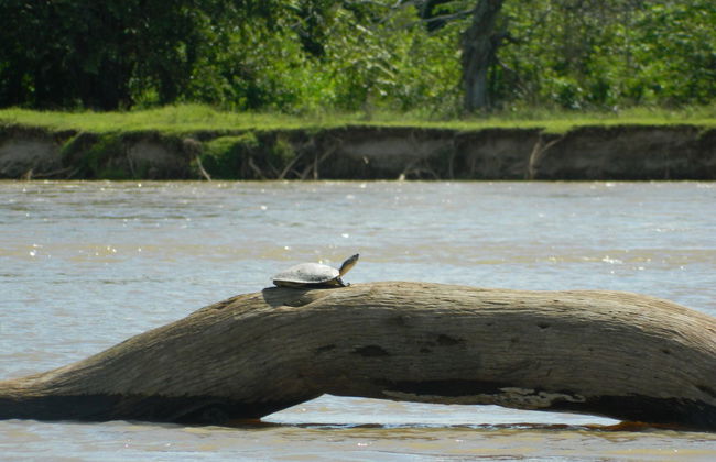 Magdalena River Cruise - Photo 2