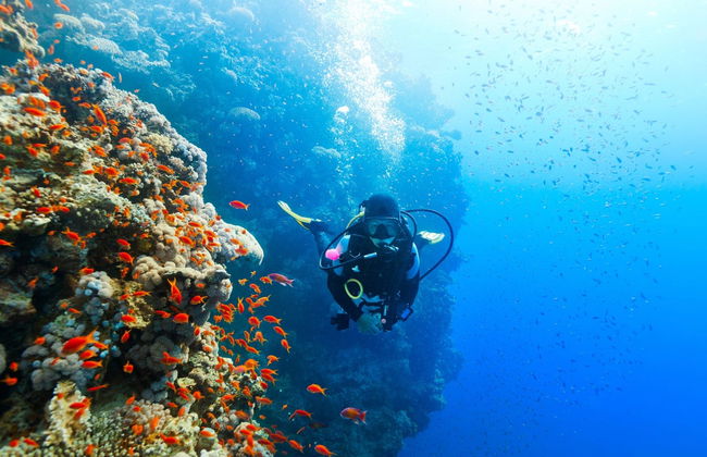 Buceo en Jasab - Foto 5