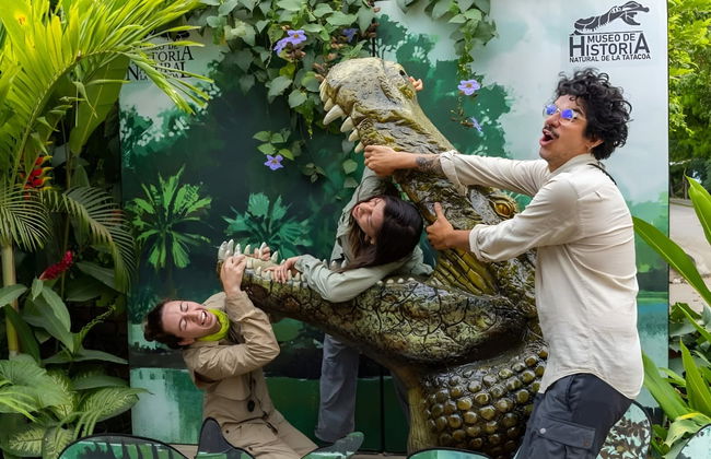 Tour por el Museo de Historia Natural de la Tatacoa + Taller de fósiles - Foto 7